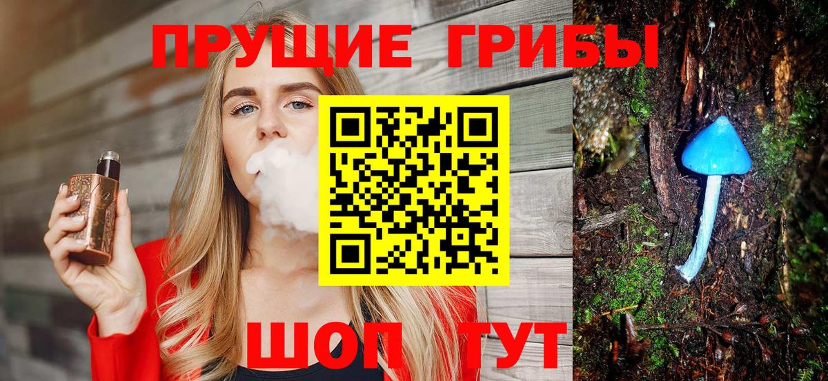 Ульяновск  Псилоцибиновые грибы GOLDEN TEACHER  Псилоцибиновые грибы Psilocybine cubensis  Вход с VPN 